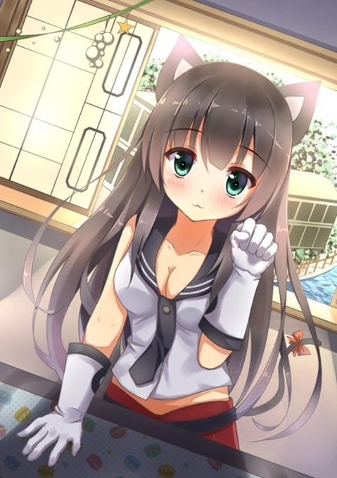猫耳が可愛い女の子の二次エロ画像⑤　100枚 39
