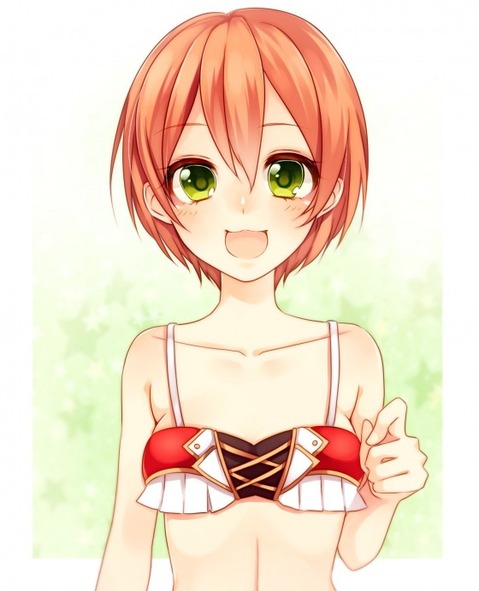 【ラブライブ!】星空凛の二次エロ画像　100枚 54