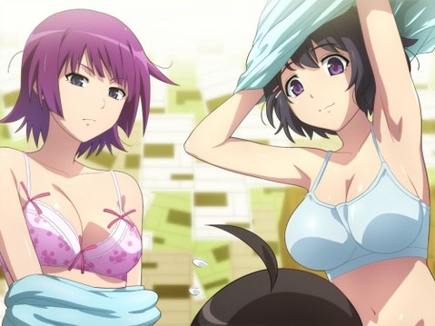 【化物語】戦場ヶ原ひたぎの二次エロ画像①　100枚 2