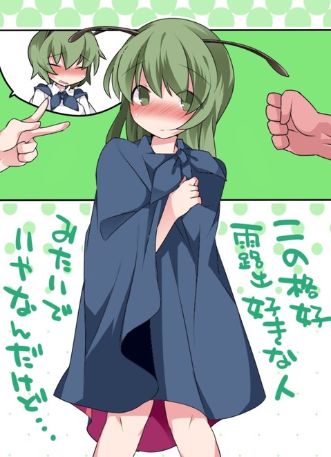 【東方】リグル・ナイトバグの二次エロ画像①　100枚【東方Project】 85