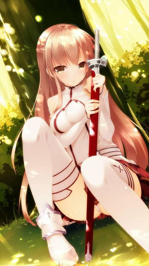 【ソードアート・オンライン】結城明日奈の二次エロ画像①　50枚 7