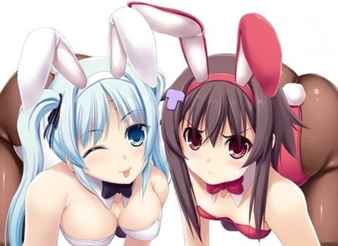 うさ耳が可愛い女の子の二次エロ画像⑤　100枚 35