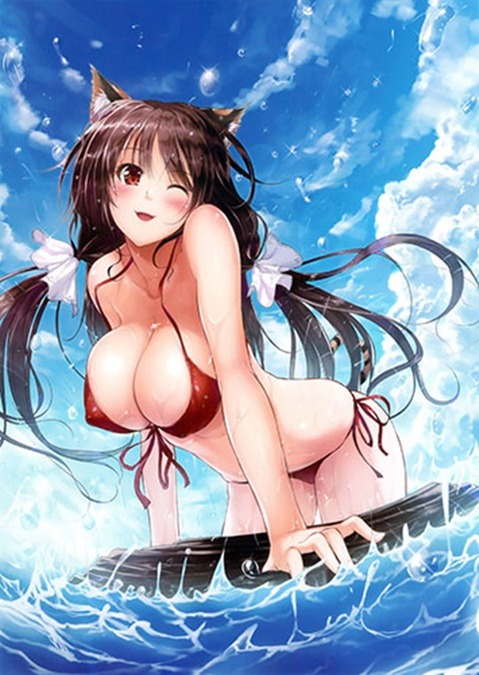 猫耳が可愛い女の子の二次エロ画像②　100枚 99