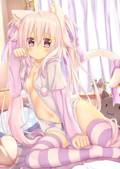 猫耳が可愛い女の子の二次エロ画像②　100枚 16