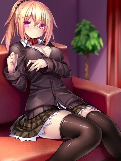 ニーソ・ニーハイを履いた女の子の二次エロ画像④　100枚 99