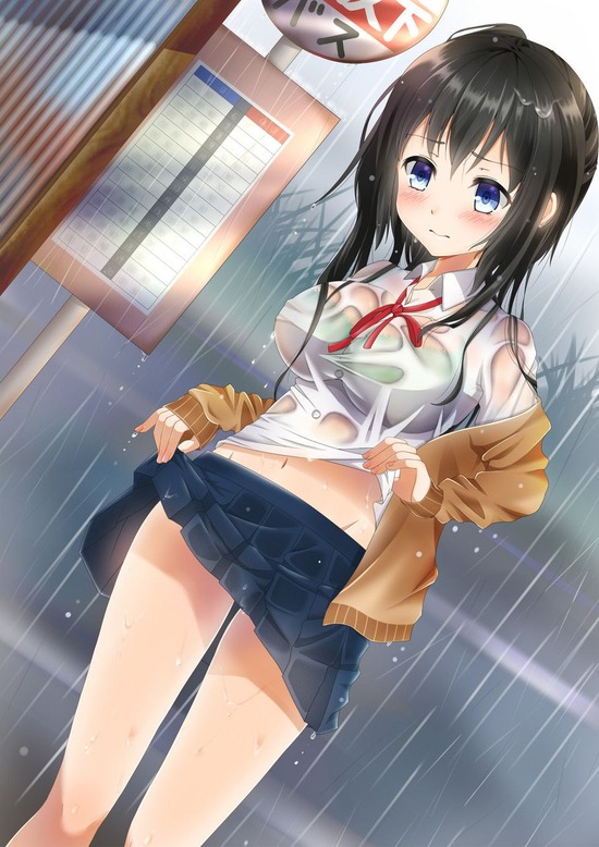 【二次エロ】性経験の少ない女子高生をめちゃくちゃにする二次エロがみたい！ 18