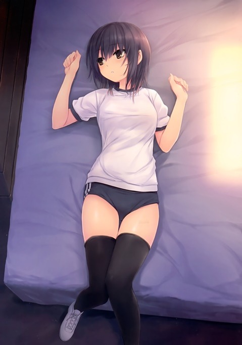 ニーソ・ニーハイを履いた女の子の二次エロ画像②　100枚 78