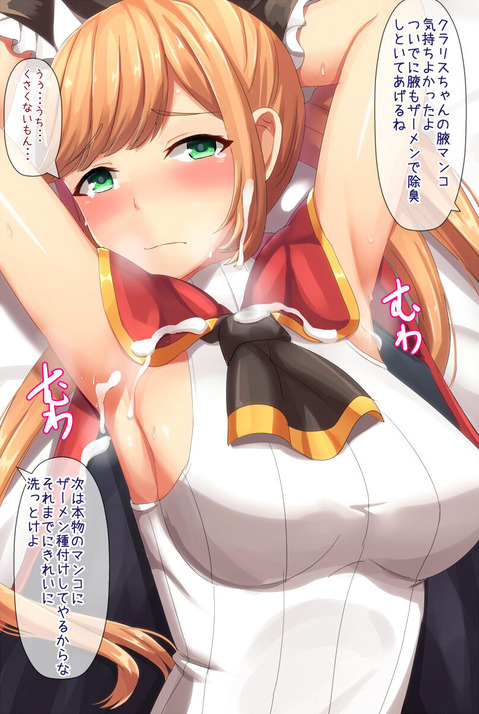 【グラブル】クラリスの二次エロ画像②　50枚【グランブルーファンタジー】 30
