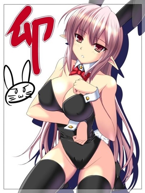 うさ耳が可愛い女の子の二次エロ画像②　100枚 13
