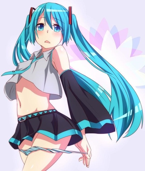 【VOCALOID】初音ミクの二次エロ画像　100枚【ボーカロイド】 16