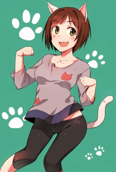 猫耳が可愛い女の子の二次エロ画像①　100枚 98