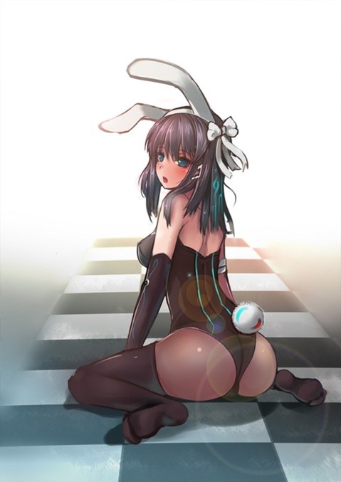 うさ耳が可愛い女の子の二次エロ画像②　100枚 37