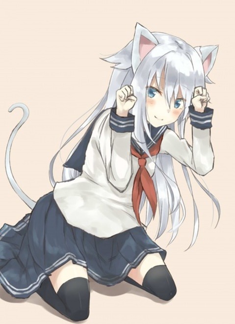 猫耳が可愛い女の子の二次エロ画像①　100枚 28