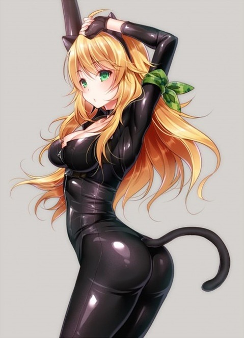 猫耳が可愛い女の子の二次エロ画像②　100枚 40