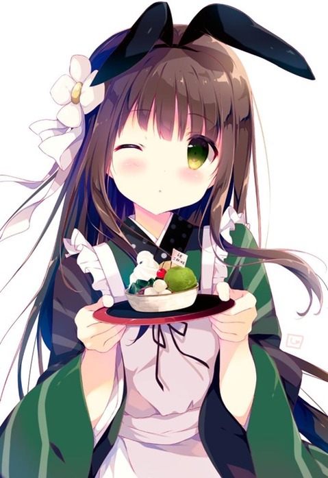 うさ耳が可愛い女の子の二次エロ画像③　100枚 51