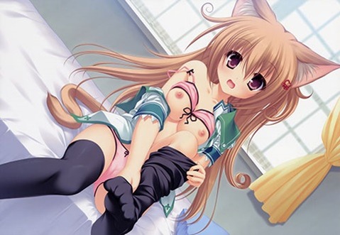 猫耳が可愛い女の子の二次エロ画像①　100枚 86
