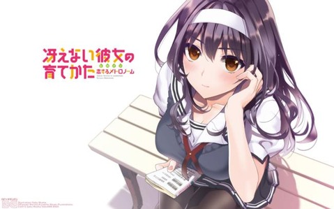 【冴えカノ】霞ヶ丘詩羽の二次エロ画像　100枚【冴えない彼女の育て方】 33