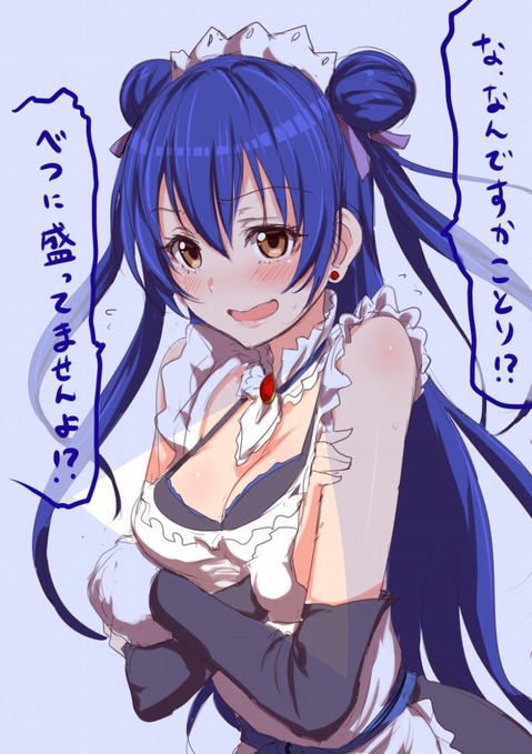 【ラブライブ!】園田海未の二次エロ画像　100枚 29