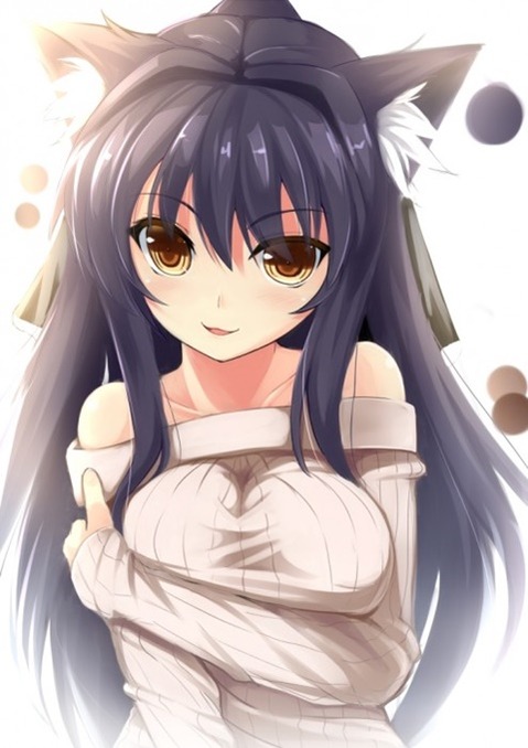 猫耳が可愛い女の子の二次エロ画像①　100枚 45