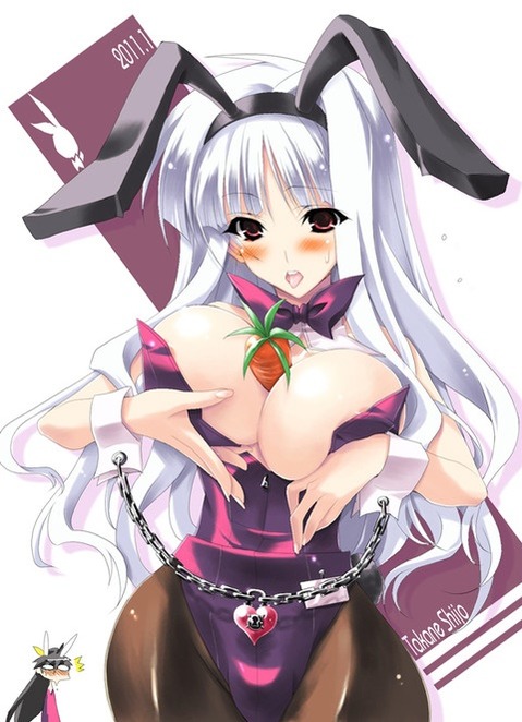 うさ耳が可愛い女の子の二次エロ画像④　100枚 86