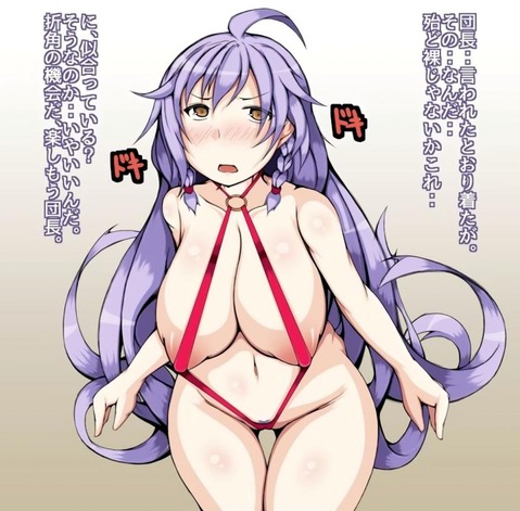 【グラブル】シルヴァの二次エロ画像　60枚【グランブルーファンタジー】 44