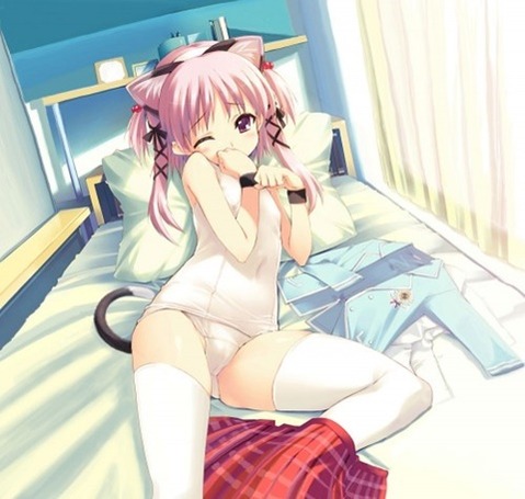 猫耳が可愛い女の子の二次エロ画像④　100枚 12