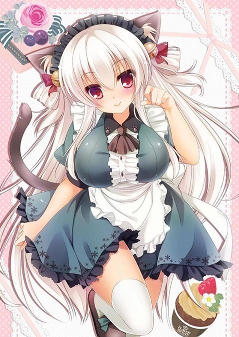 猫耳が可愛い女の子の二次エロ画像①　100枚 77