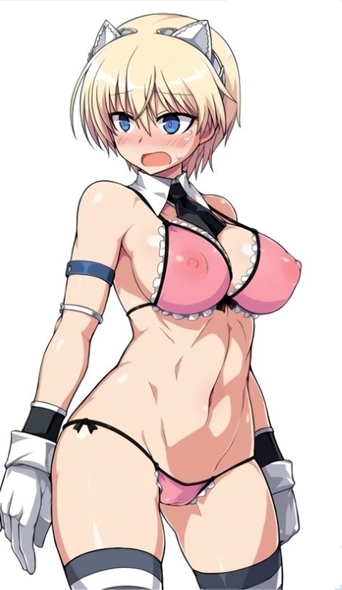 【ストパン】二パ（ニッカ・エドワーディン・カタヤイネン）の二次エロ画像　70枚【ストライクウィッチーズ】 17