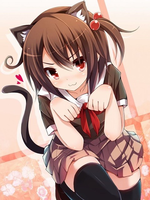 ニーソ・ニーハイを履いた女の子の二次エロ画像⑤　100枚 23