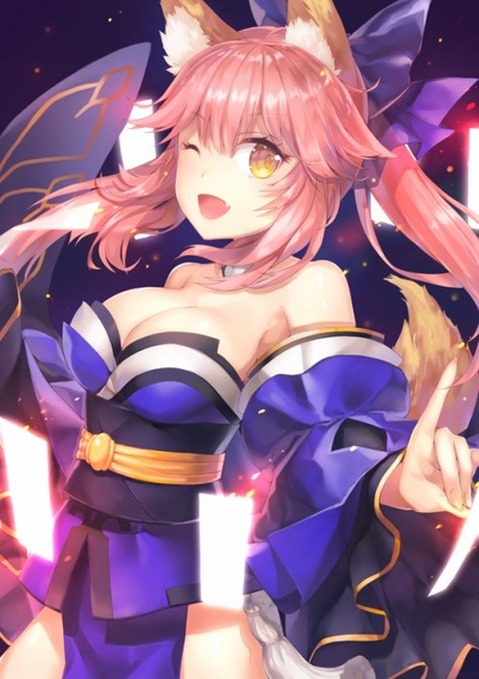 【Fate】キャスターの二次エロ画像　100枚 17