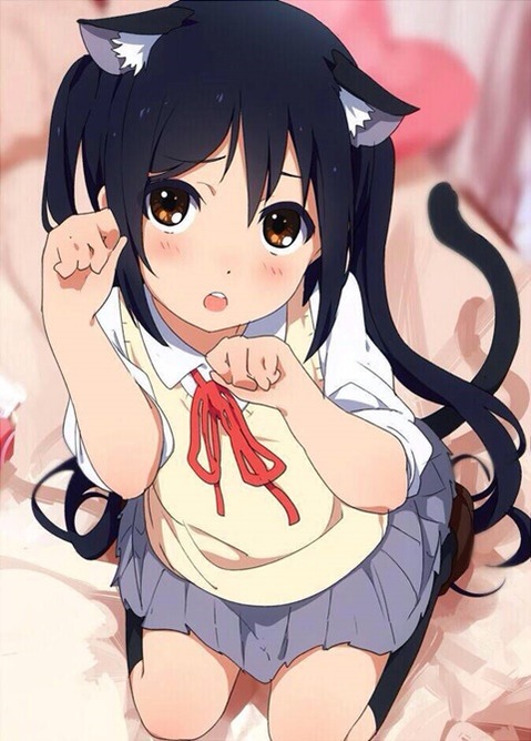 猫耳が可愛い女の子の二次エロ画像①　100枚 71