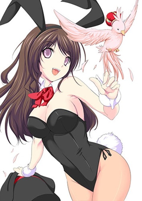 うさ耳が可愛い女の子の二次エロ画像⑤　100枚 85
