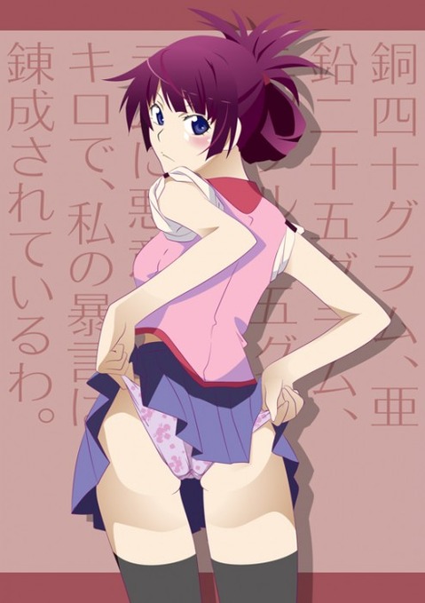 【化物語】戦場ヶ原ひたぎの二次エロ画像①　100枚 20