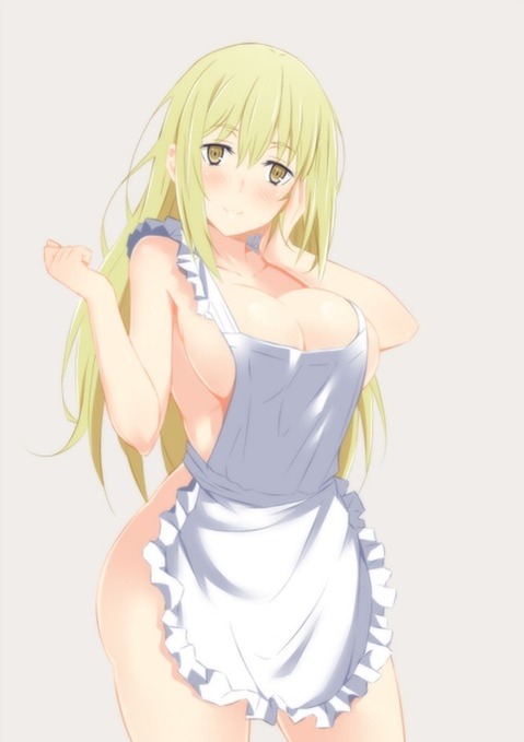 裸エプロンがエロくて仕方ない二次エロ画像⑳　25枚 22