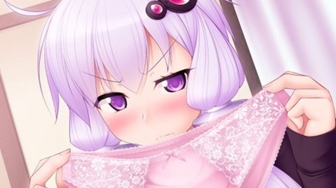 【ボイスロイド】結月ゆかりの二次エロ画像⑥　25枚【VOICEROID】 20