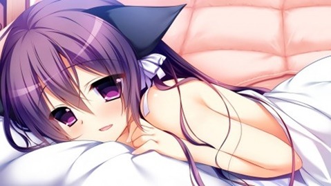 猫耳が可愛い女の子の二次エロ画像④　100枚 27