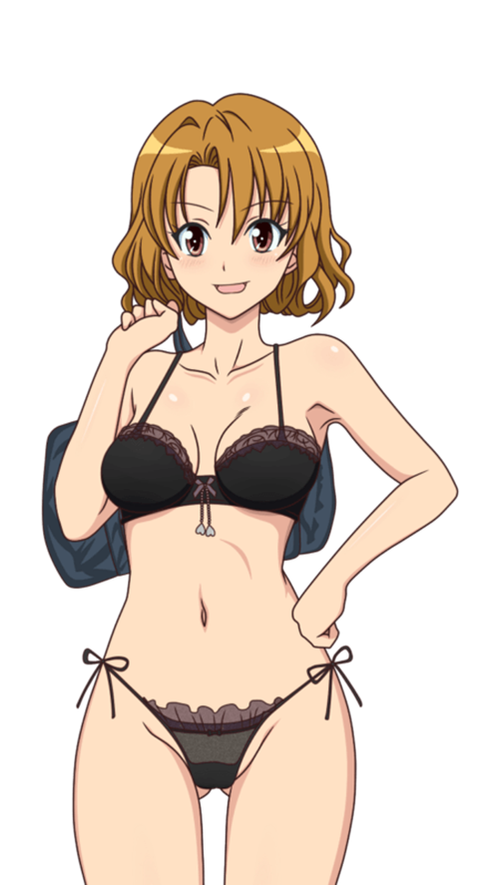 【To LOVEる】籾岡里紗の二次エロ画像　30枚【とらぶる】 1