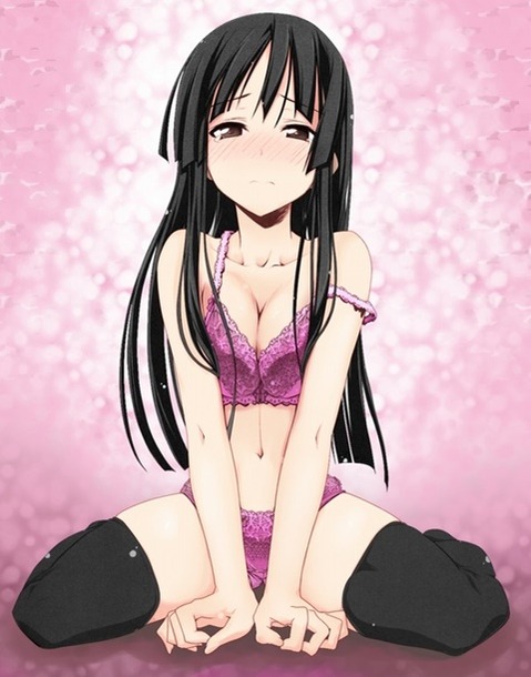 ニーソ・ニーハイを履いた女の子の二次エロ画像③　100枚 22