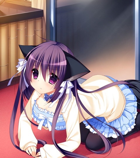 猫耳が可愛い女の子の二次エロ画像②　100枚 65