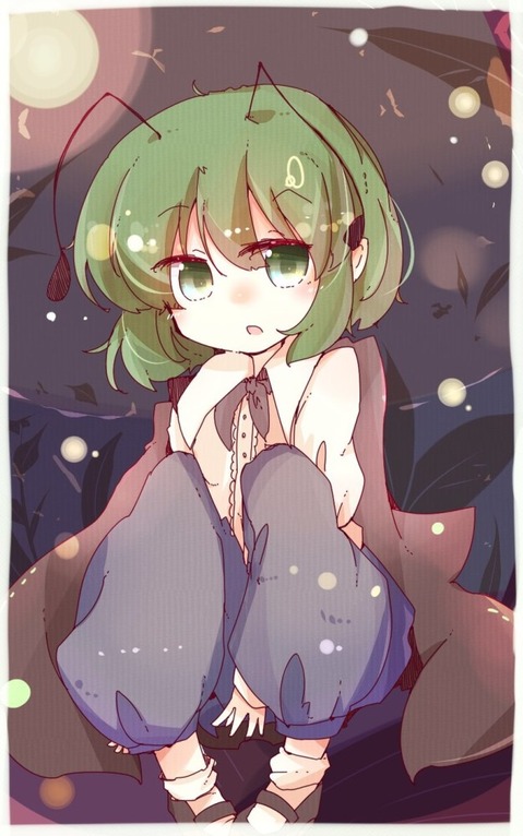 【東方】リグル・ナイトバグの二次エロ画像①　100枚【東方Project】 99