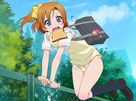 【ラブライブ！】高坂 穂乃果の二次エロ画像②　50枚 44