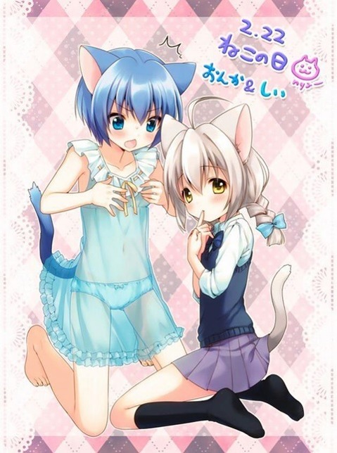 猫耳が可愛い女の子の二次エロ画像⑤　100枚 6