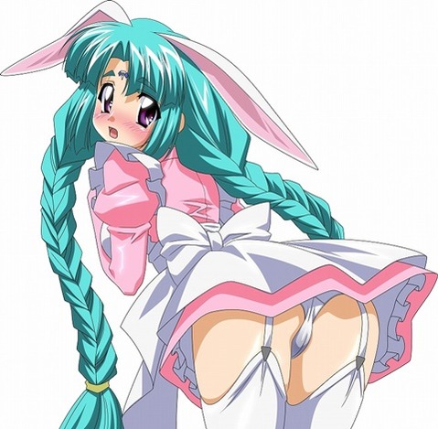 うさ耳が可愛い女の子の二次エロ画像②　100枚 69
