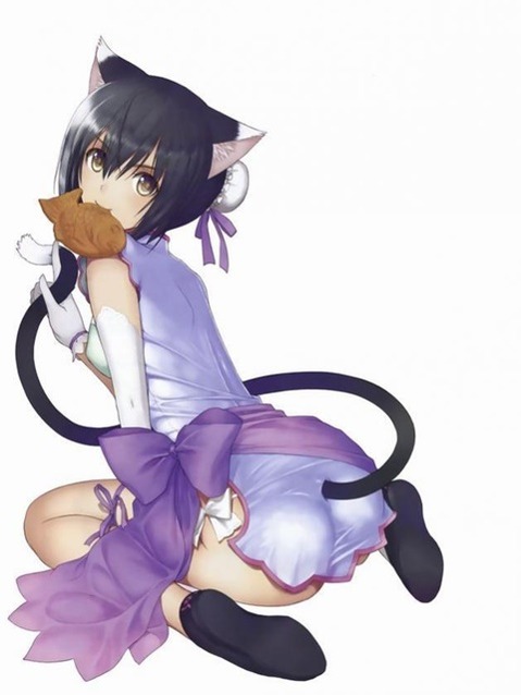 猫耳が可愛い女の子の二次エロ画像⑤　100枚 21