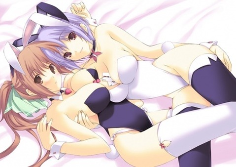 うさ耳が可愛い女の子の二次エロ画像④　100枚 69