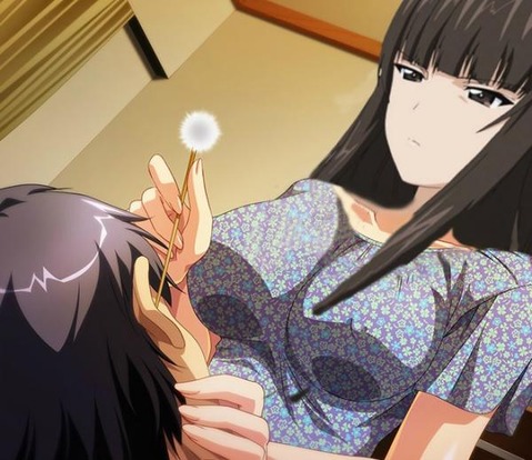 【ガルパン】西住しほの二次エロ画像　50枚【ガールズ＆パンツァー】 13