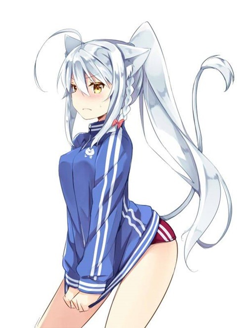 猫耳が可愛い女の子の二次エロ画像②　100枚 83
