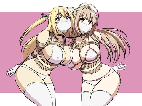 【甘ブリ】シルフィーの二次エロ画像　70枚【甘城ブリリアントパーク】 4