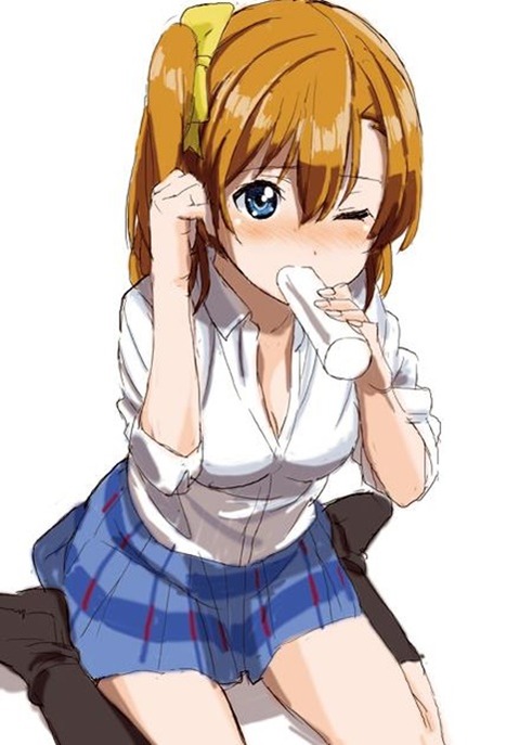 【ラブライブ！】高坂 穂乃果の二次エロ画像　50枚 41