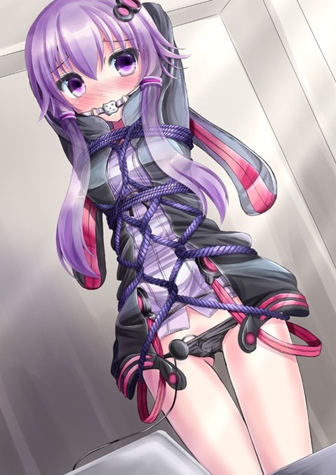 【ボイスロイド】結月ゆかりの二次エロ画像③　25枚【VOICEROID】 12